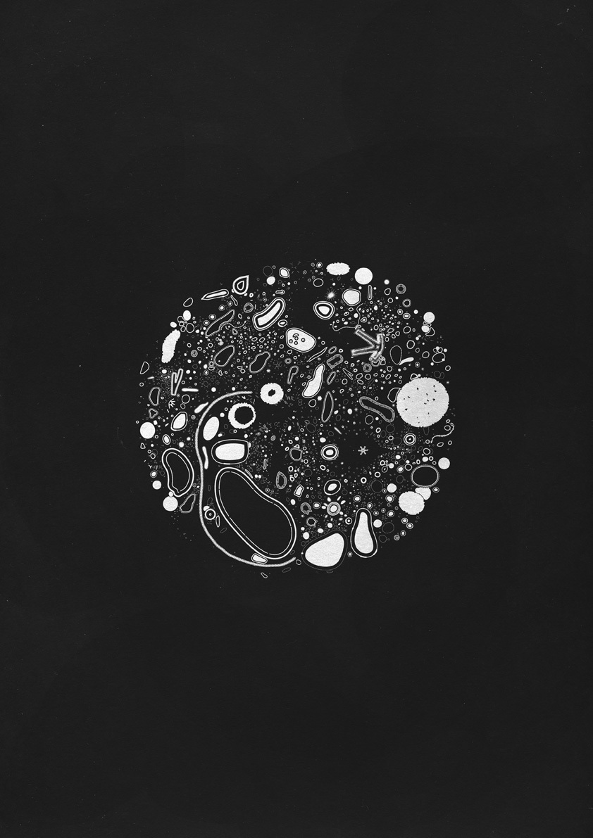 Visual Lexicon Derivatives 12