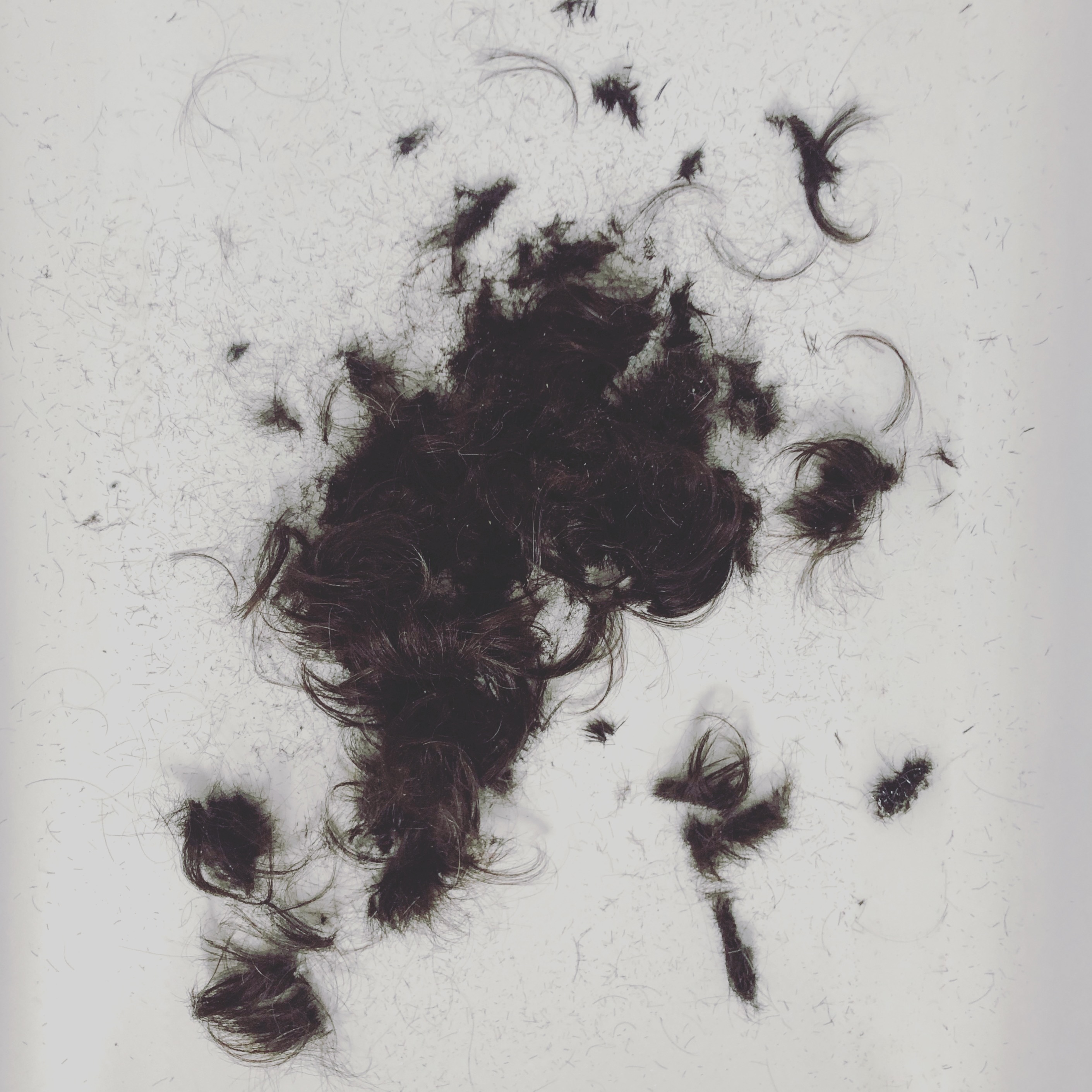 Dermis Follicle Protein Filament Explosion in Neutral Space.